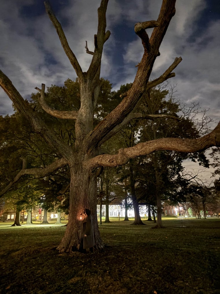 A figure in a coat stands beneath a dead tree in Tappan Square, holding a lantern.