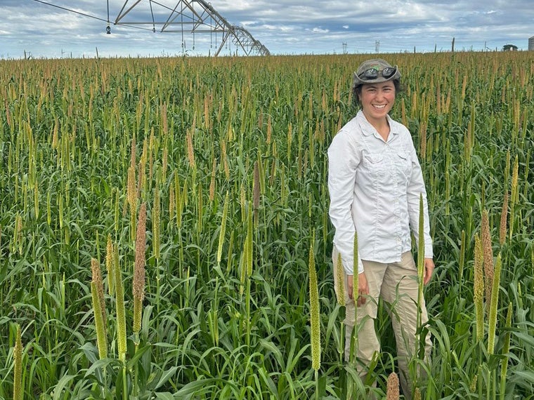 a person wearing a white shirt stands in a field of plants