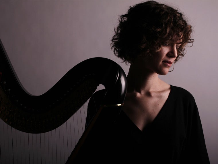 a person in shadow is standing next to a harp