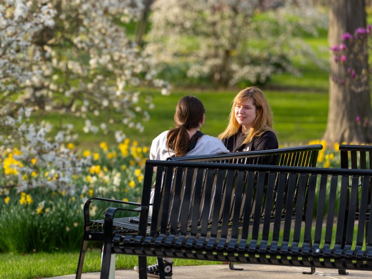 Two students visiting on a park bench