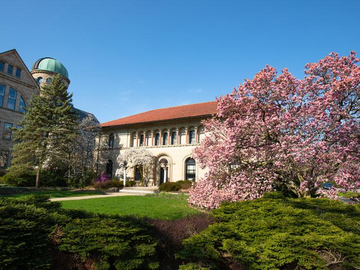 The Cox Administration Building surrounded by flowering trees.