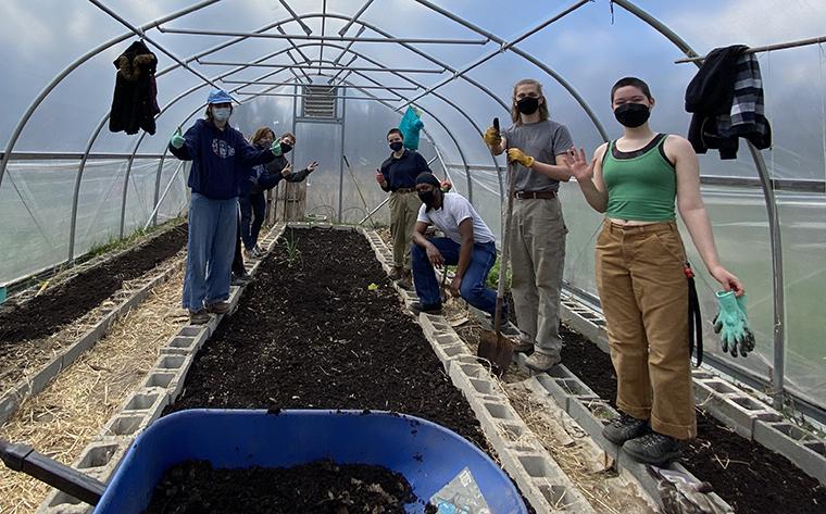 Students working in a greenhouse