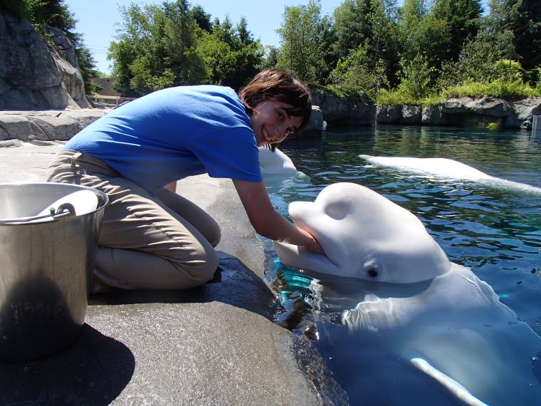 Madison Szathmary and a beluga whale at Mystic Aquarium