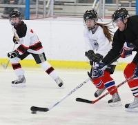 Ice hockey players in action