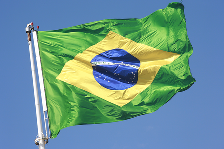 Brazilian flag 