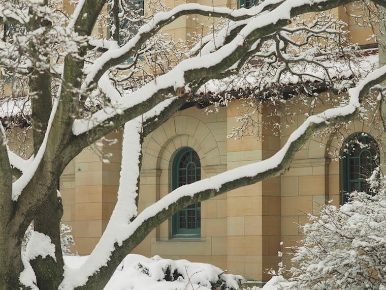 Snow covered tree in front of arched windows in sandstone building