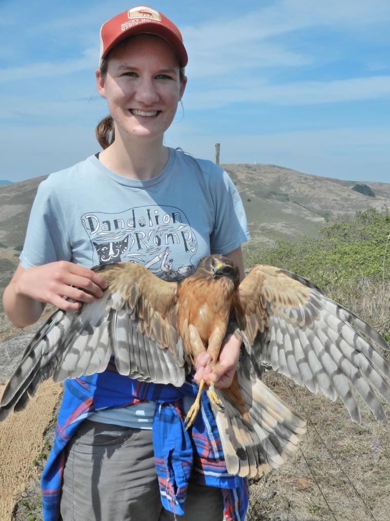 Steph Szarmach ’15 holding a Northern Harrier