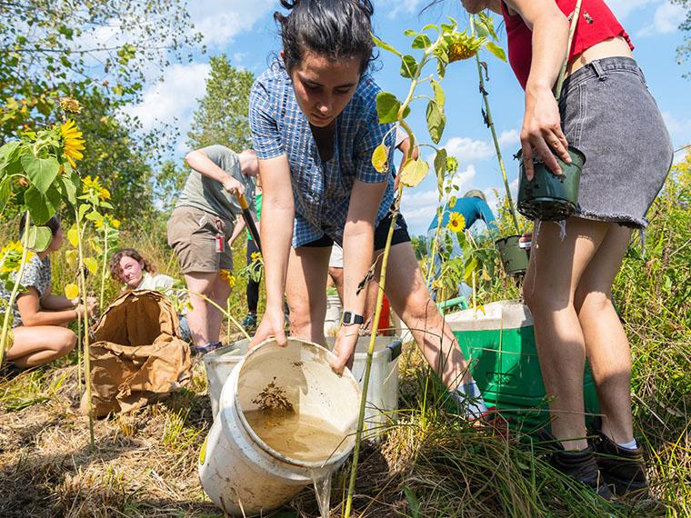 students planting sunflowers on George Jones Memorial Farm.