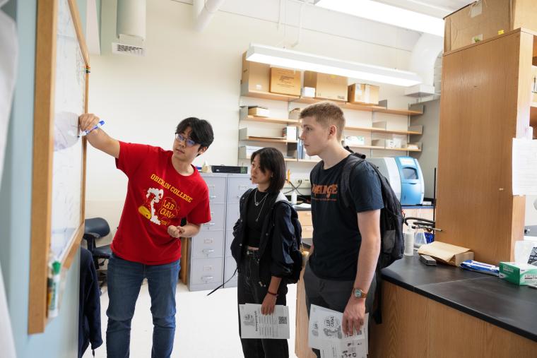 A person demonstrating on a whiteboard to students in a laboratory.