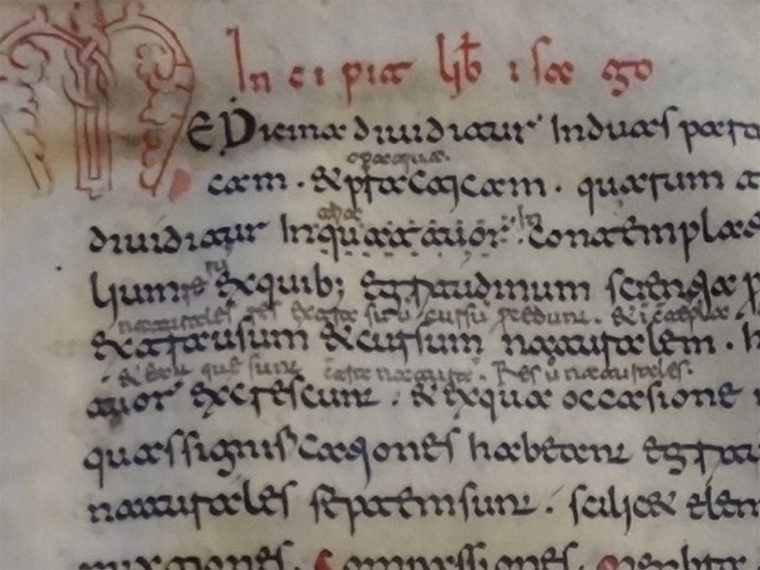 the manuscript Monte Cassino 225 featuring calligraphy.