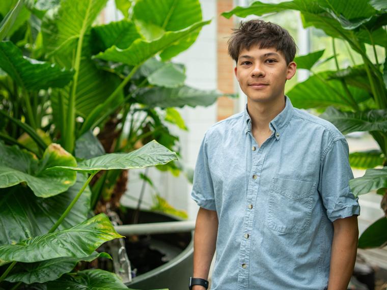 a person wearing a light blue shirt standing in front of green plants