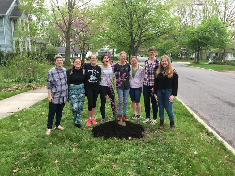 Students planting a tree