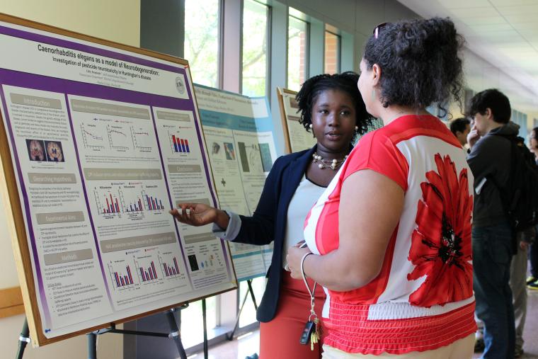 A student explains a research poster to another student.