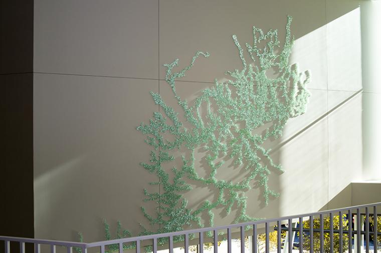 view of wall with vines growing on it 