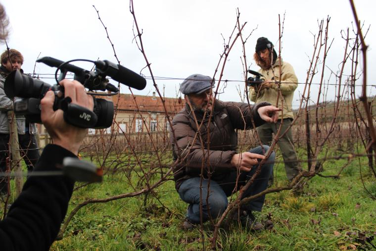 Film crew at a vineyard