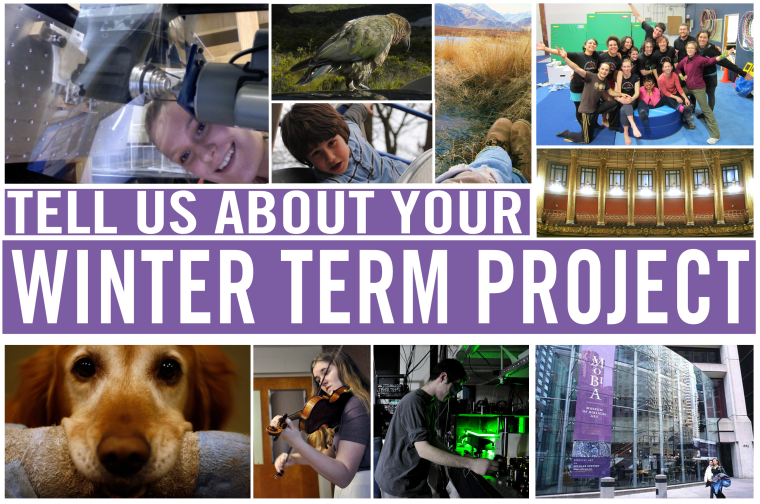 Tell us about your winter term project