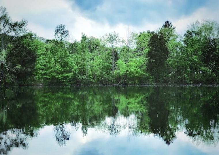 A lake with the reflection of trees.