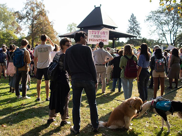 People standing in grassy area.