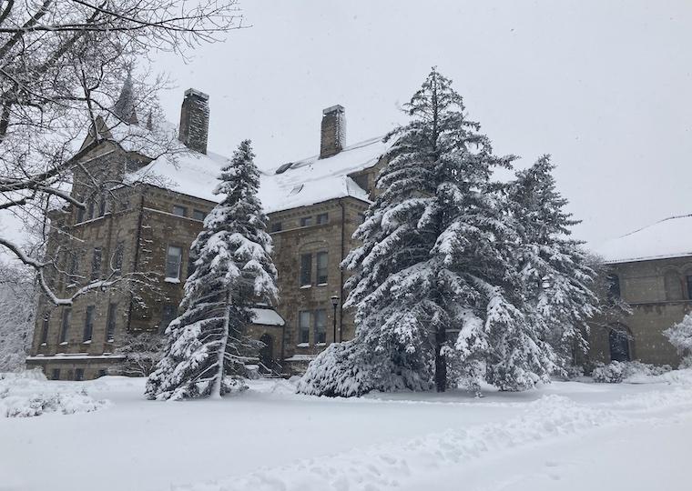 A tall building and evergreen trees are covered in snow.