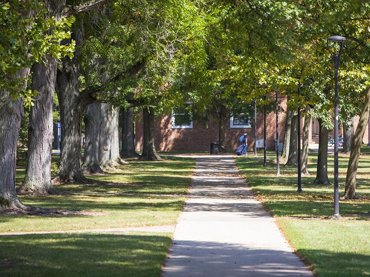 A tree lined path leading to a brick building.