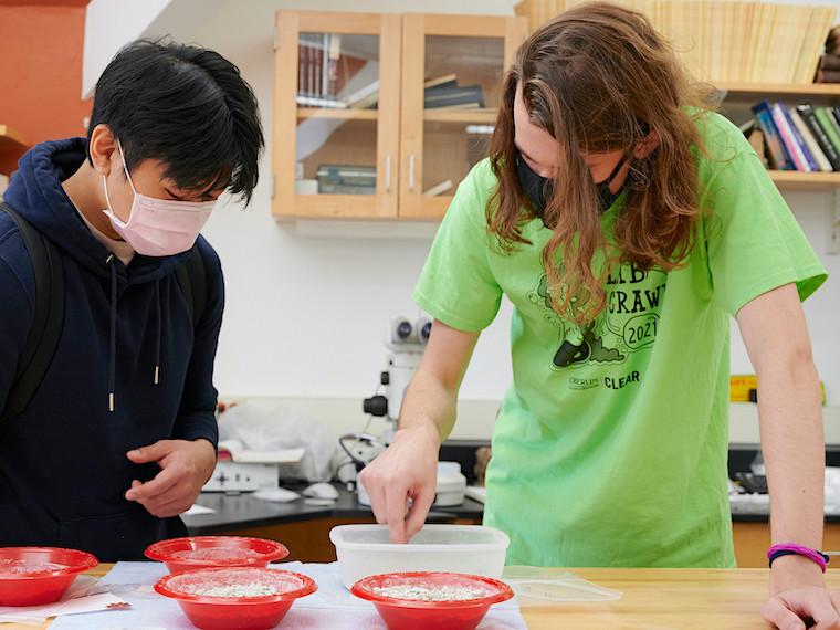 Two students look at samples in bowls on a science table.
