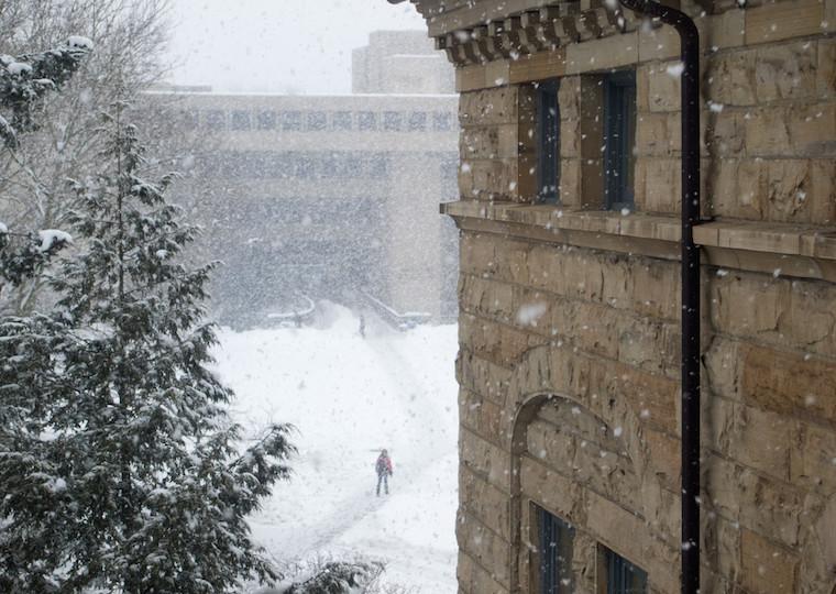 A snowy view of trees, a building, and person standing on a pathway.
