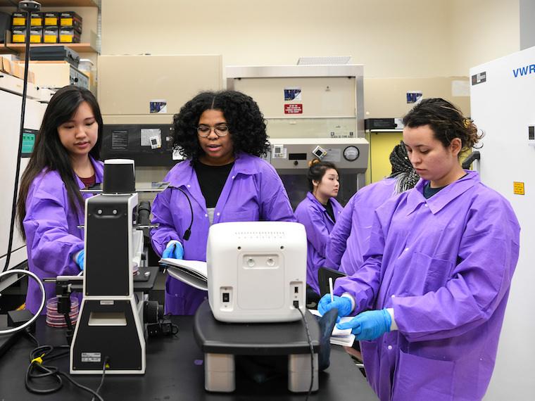 group of women students in purple lab jackets doing experiments.