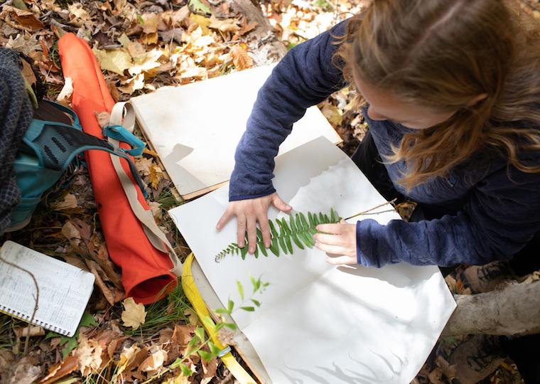 A student presses a fern onto a large white page.