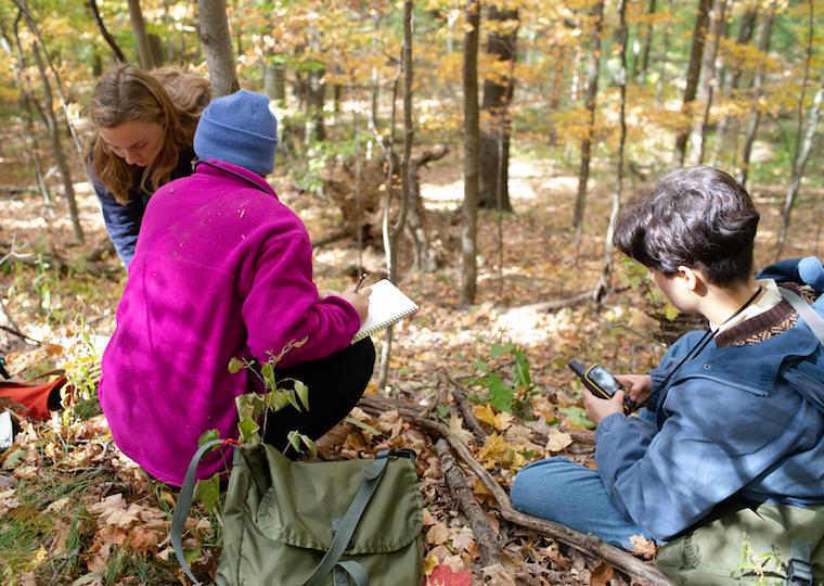 Three students talk in the woods.