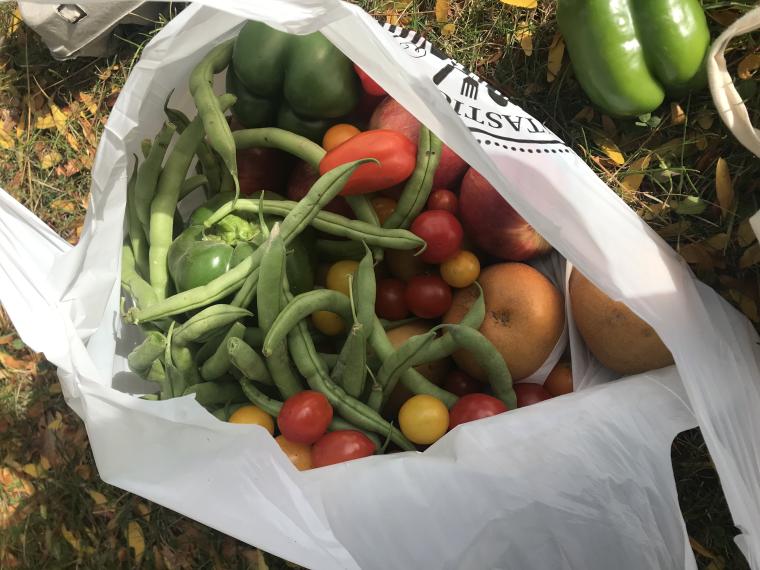 bag of green beans and fresh tomatoes
