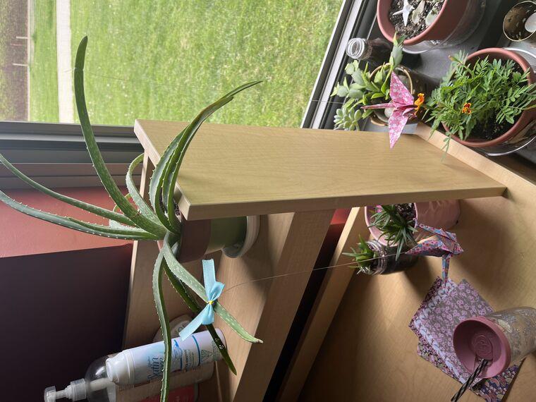 A plant and origami next to a window