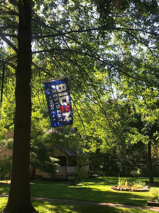 Biden 2020 fall hanging from a green tree in Oberlin