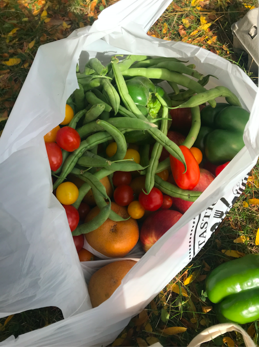 bag of green beans and fresh tomatoes